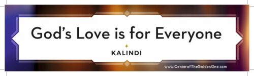 Bumper Sticker #3
